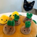 이리오개 이미지