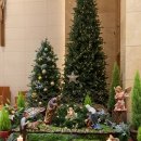 삼대족발 이미지