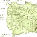 오토오아시스 호원점 이미지