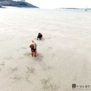 뭉이집민박 이미지