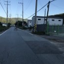 지에스25 용덕점 | [SBT] 코끼리는 어디가고, 코끼리등 1.빵꾸는 이제 그만 2.카드 봉크,너도 봉크 - 190908