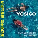 서울 7월 전시회 공간이주는 감성느끼기 요시고 사진전 관람후기 회현 가볼만한곳
