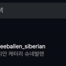 슈네발렌 이미지