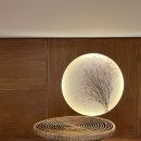 금성스테이 이미지