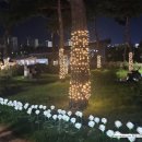 유림-18 | 대전 유성 유림공원 재즈 맥주 축제