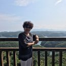 2017년 8월 15일 화요일 출석글 대마도 여행기 [1] 이미지