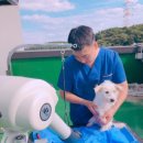 용인시동물보호센터 이미지