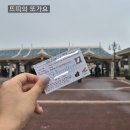 주식회사 디어스 | 도쿄 디즈니랜드 베케이션 패키지 후기 &amp; 장단점 &amp; 변경사항