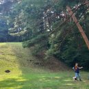 하사전리마을회관 이미지