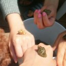 하루민박 이미지