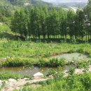 아름다운농장 이미지