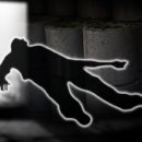 모가두경로당 이미지