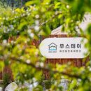 테이펫
