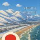 노비타동해삼척