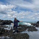 제주어멍통갈치 | [제주공항맛집] 제주어멍 통갈치 후기｜갈치조림 한상 푸짐하게!