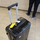 [제주도] 여자 혼자 떠난 2박3일 뚜벅이 제주 여행 2일차 _ 제주 동쪽 일정