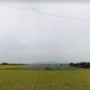 봉동공인중개사사무소 이미지