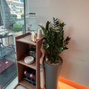 엑쏘엑쏘샐러드 | 강서구 브런치 마곡 브런치나인에서 프렌치토스트와 커피 한잔의여유