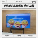 P-6931 | 팀장 스트레스 관리 교육 어떻게 해야 할까? 교류분석 기반 1박 2일 번아웃 예방 강의 후기