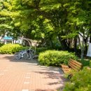 대갈놀이공원 이미지