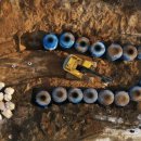 건수농장 이미지