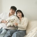 퓨어무드스튜디오 이미지