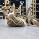 (주)포유 이미지