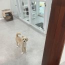 무거동 봄이네 이미지