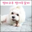 멍마고우 이미지