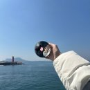 7초소앞 화장실 | 제주도 우도 유채꽃 시즌 전기 자전거 타고 한 바퀴 코스