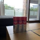 쏠비치 리조트 삼척 | 삼척 쏠비치 리조트 2박 후기 및 시설 둘러보기