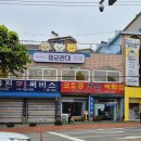 멍균관대 이미지