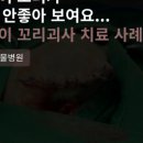 수색동물병원 이미지