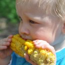 동막골영농조합법인 이미지