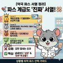 박하약국 | [약국 파스 해부 ②] 내 몸에 맞는 효과좋은 파스 근육통·관절염 파스 추천/나이/지속시간/ 파스 계급...