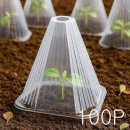 홈가드닝 이미지