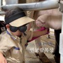 김포 목장체험 연보람목장 예약 주차 리얼후기