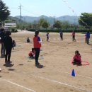 낙서초등학교 이미지