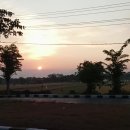 오야스미💚 이미지