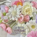 아인플로라 네이버블로그