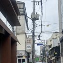 압구정미용실 중단발펌 제대로 하는 곳 유밍 압구정헤어샵 서연실장님후기