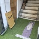 스꼬비 | 대구 스꼬비하우스 실내 아이랑 갈만한 체험 슬라임카페