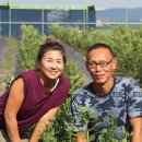 이승현농장 이미지