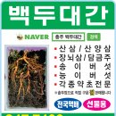 한미타올충주