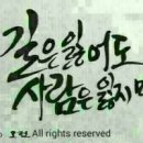멋진 이미지