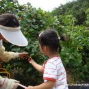 상동농장 이미지