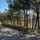 고현보조운동장 이미지