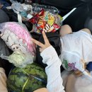 괴산농협중앙지점 | 35도 여름에 괴산 쌍곡계곡 가기 [물소리풍경, 성불산자연휴양림, 신가네 칼국수, 커드순]