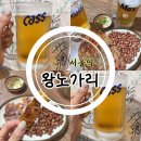 서울역 근처 2차술집 후암시장 동자동 '왕노가리' 노포 생맥주 맛집
