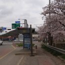 신흥사슴농장 이미지